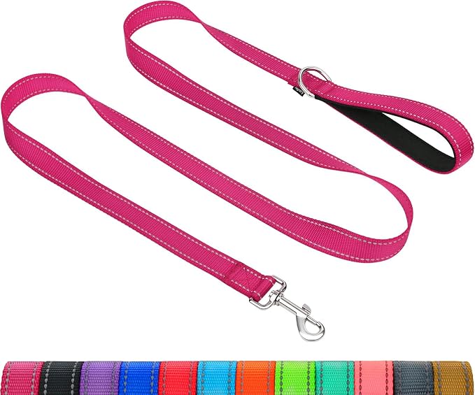 Taglory Dog Leash for Small Dogs, Double-Sided Reflective for Night Walking, Neoprene Padded Handle, 3/4 inch by 6 ft, Lightweight for Small Medium Breeds up to 30 lbs, Hot Pink
