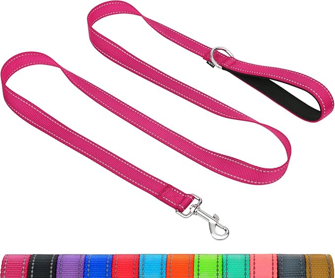Taglory Dog Leash for Medium Large Dogs, Double-Sided Reflective for Night Walking, Neoprene Padded Handle, 1 inch by 4 ft, Heavy Duty for Medium Large Breeds 20-150 lbs, Hot Pink