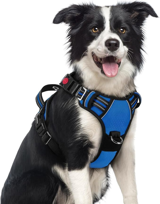 rabbitgoo Dog Harness Medium Sized, 3 Buckles Easy On & Off No Pull Pet Vest, Soft Padded Walking Pet Harness with Control Handle, Adjustable and Reflective, Royal Blue, M