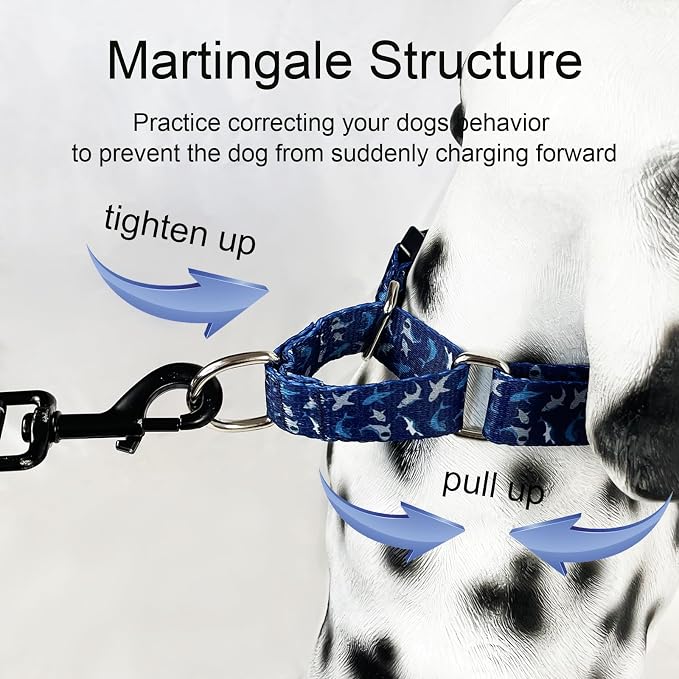 Martingale Collar for Dogs with Buckle Shark Dog Collar Adjustable Soft Nylon Boy Dog Collars for Puppy Dogs, Deep Blue Shark
