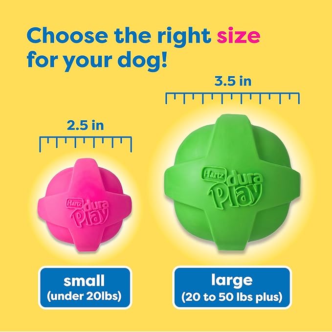 Hartz DuraPlay Bacon Scented Dog Toys, Large 1 Count, Colors May Vary (Pack of 2)