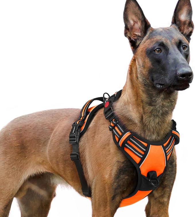 rabbitgoo Dog Harness for Large, No Pull Easy On & Off with 3 Buckles Pet Harness, Adjustable Soft Walking Vest with 2 Clips and Handle, Reflective for Extra Large Dogs, Orange, XL