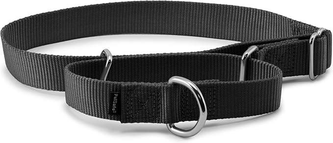 PetSafe Martingale Dog Collar Large, 1 Inch, Black