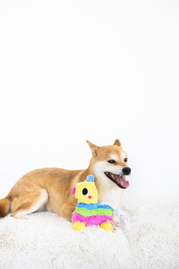 Pearhead Puppy Piñata Dog Toy, Cinco de Mayo Dog Toy with Rope Tug and Crinkle Plush, Interactive Chew Toy for Dogs, Everyday Play Gift