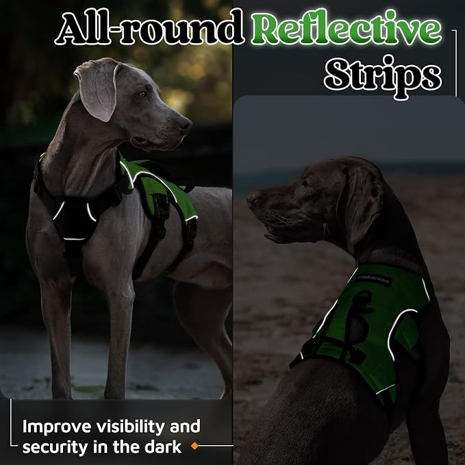 rabbitgoo Escape Proof Dog Harness, Soft Padded Full Body Pet Harness, Reflective Adjustable No Pull Vest with Lift Handle and Lesh Clip for Large Dogs Walking Hiking Training, M, Green