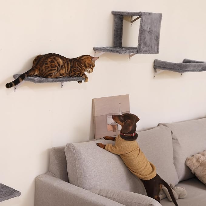 FUKUMARU Cat Wall Shelves, Stable & Safe 4 in 1 Cat Walls Furniture Set, Wooden Kitten Climbing Wall with Scratching Post for 16 Inch Drywall - Light Gray