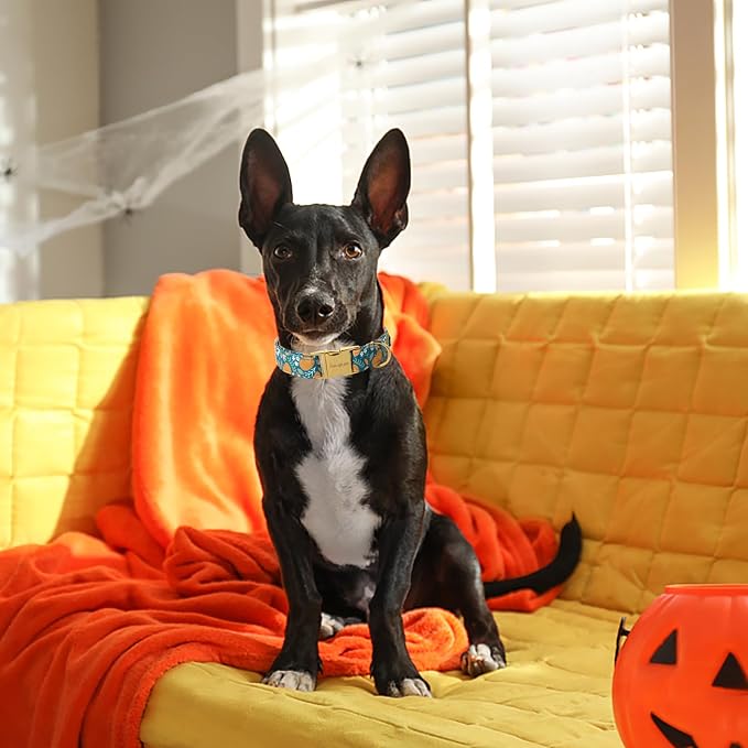 Unique style paws Dog Collar Green Pumpkin Flower Metal Buckle Durable Puppy Collar Halloween for Small Medium Large Boys Girls Dogs