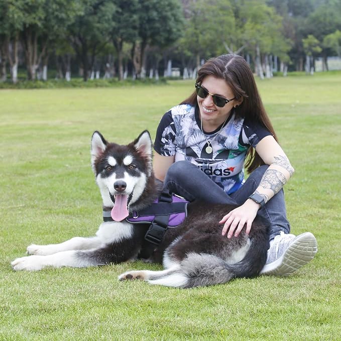 Dog Harness, No-Pull Reflective Dog Vest, Breathable Adjustable Pet Harness with Handle for Outdoor Walking - No More Pulling, Tugging or Choking (Purple, L)