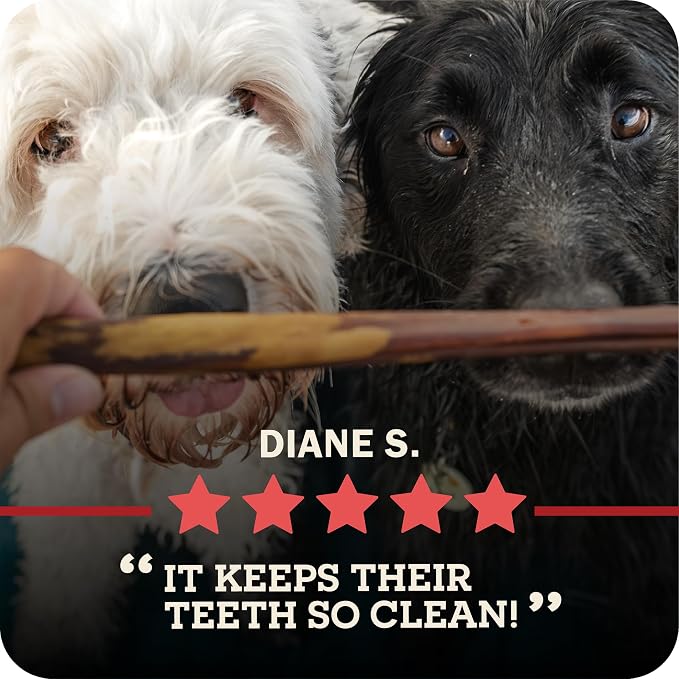 Redbarn Pet Products All Natural 8"-12" Bully Sticks for Medium/Large Dogs - Healthy Long Lasting Chews Variety Party Pack - 100% Beef Single Ingredient Low Odor Rawhide Free - 1lb