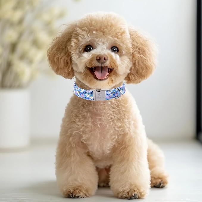 Floral Dog Collar, Cute Blue Wildflowers Dog Collars - Soft Adjustable Spring Summer Everyday Collars for Small Medium Large Dogs, Cottagecore Bloom Dogs Collar XL