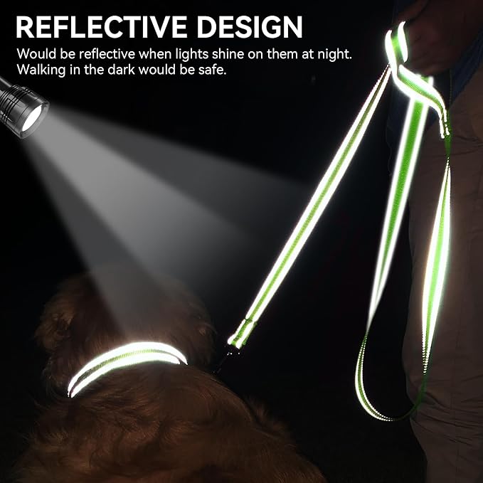 Joytale Dog Leash, 4 FT Double-Sided Reflective, Padded Handle Nylon Heavy Duty Leashes for Medium & Large Dogs Walking, Green
