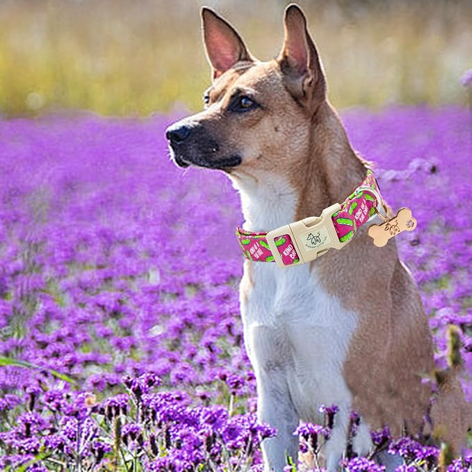Elegant little tail Dog Collar, Dill Pickle Print Pink Puppy Male Adjustable Cotton Pet Collar with Quick Release Buckle for Small Medium Large Dogs
