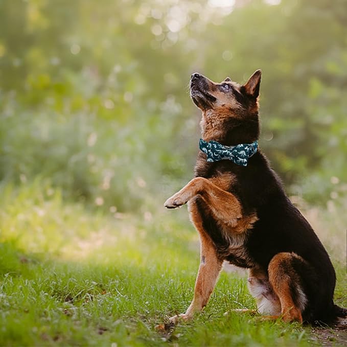 Elegant little tail Dog Collar, Dinosaurs Print Pet Collars with Bow Soft Cutton Boy Puppy Gift Adjustable Blue Bowtie Dog Collar for Small Dogs