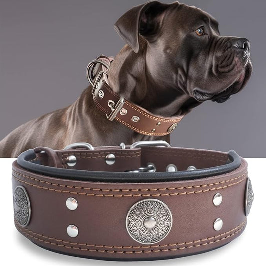 Genuine Leather Dog Collar for Large Dogs,2 in Wide Heavy Duty,BN-L | Handmade,Stainless Steel Pin Buckle,Soft Padded,Alloy Studded,Luxury Eye-catching Design,Medium Large Giant Breeds,21-25 in