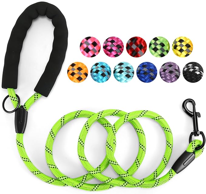 Heavy Duty Dog Leash - 4.9 FT for Large and Small Dogs - Strong Nylon, Comfortable Handle, Reflective Stitching - Ideal for Walking, Training, and Outdoor Activities, Green