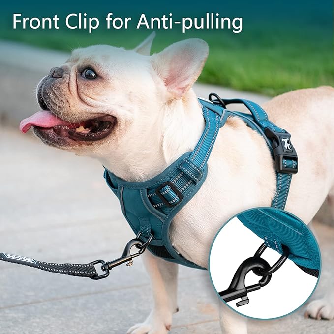 PoyPet No Pull Dog Harness, No Choke Reflective Dog Vest, Adjustable Pet Harnesses with Easy Control Padded Handle for Small Medium Large Dogs(Tumalo Teal,XS)