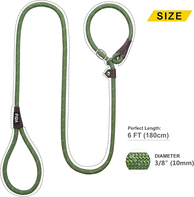 Fida Durable Slip Lead Dog Leash, 6 FT x 3/8" Heavy Duty Comfortable Strong Rope Slip Lead for Small Dogs and Puppies, No Pull Pet Training Leash with Highly Reflective(3/8", Green)