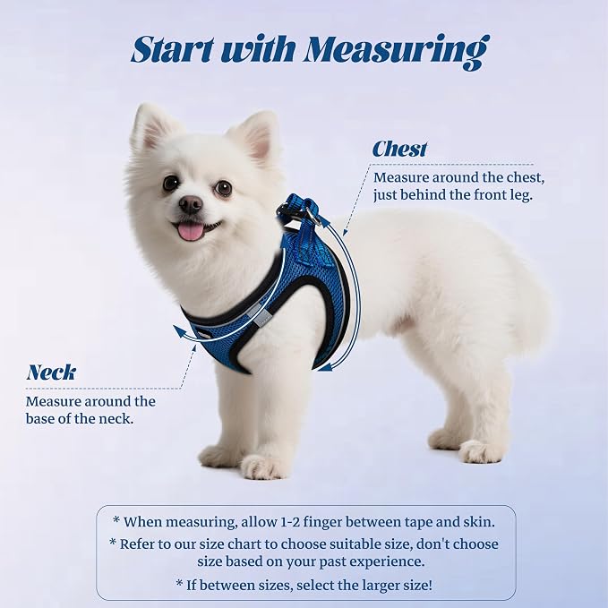 YIMEIS Dog Harness and Leash Set, No Pull Soft Mesh Pet Harness, Reflective Adjustable Puppy Vest for Small Medium Large Dogs, Cats (Royal Blue & Black, Medium (Pack of 1)