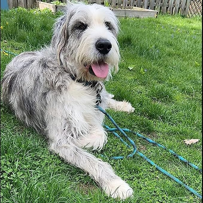 BTINESFUL 75ft Dog Tie Out Long Tether Rope Leash, 8ft 12ft 20ft 30ft 50ft Training Dog Lead for Yard, Large Medium Dogs Outdoor Playing, Camping, or Backyard (75ft, Blue Black)