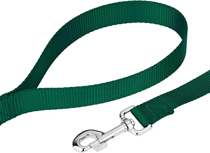 Country Brook Petz - Everyday Nylon Dog Leash - Strong, Durable, Solid Color Leash with Easy to Use Snap - 25+ Colors (1 Inch Wide, 4 Foot, Green)