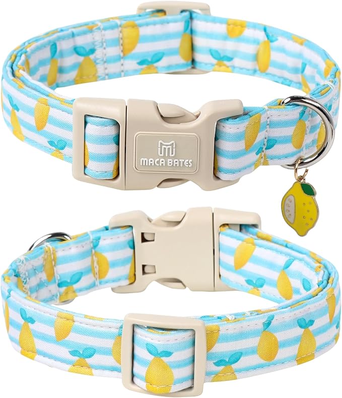 Maca Bates Summer Lemon Basic Dog Collar for Extra Small Boy Girl with Yellow Lemon Charm,Summer Lemons Pattern,Adjustable Durable Soft Birthday Gift for Male Female Puppy