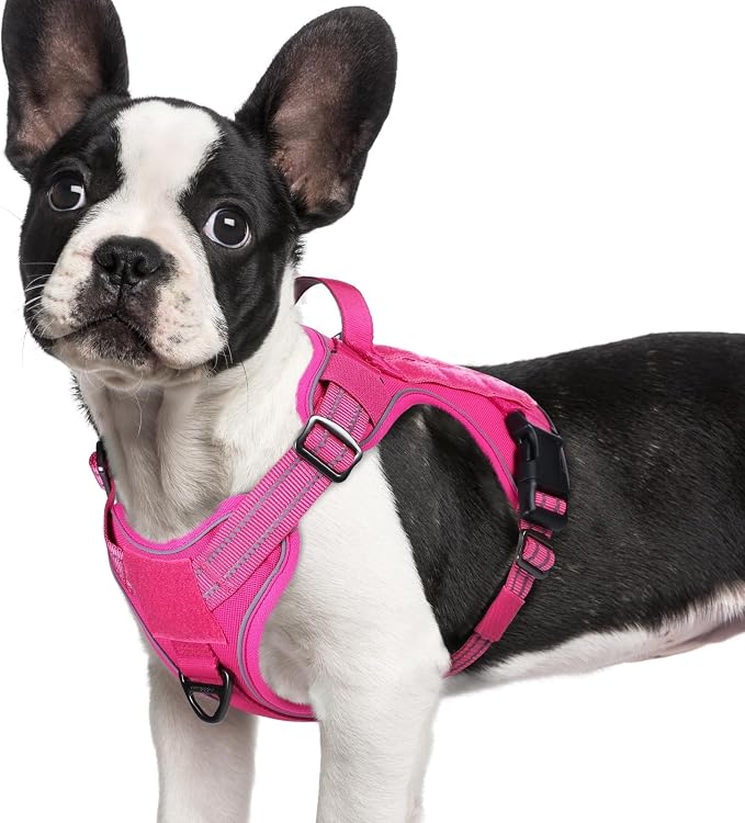 rabbitgoo Tactical Dog Harness for Small Dogs No Pull Adjustable Military Vest with Handle MOLLE Reflective Heavy Duty Dog Vest for Walking Training Hunting Outdoor Working Medium Size Dog Rose Red S