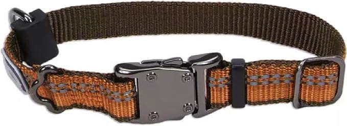 Coastal Pet K9 Explorer Reflective Adjustable Dog Collar - Comfortable Collar for the Outdoors - Durable, Lightweight Accessory with Side-Release Buckle - Campfire Orange, 1" x 18-26"