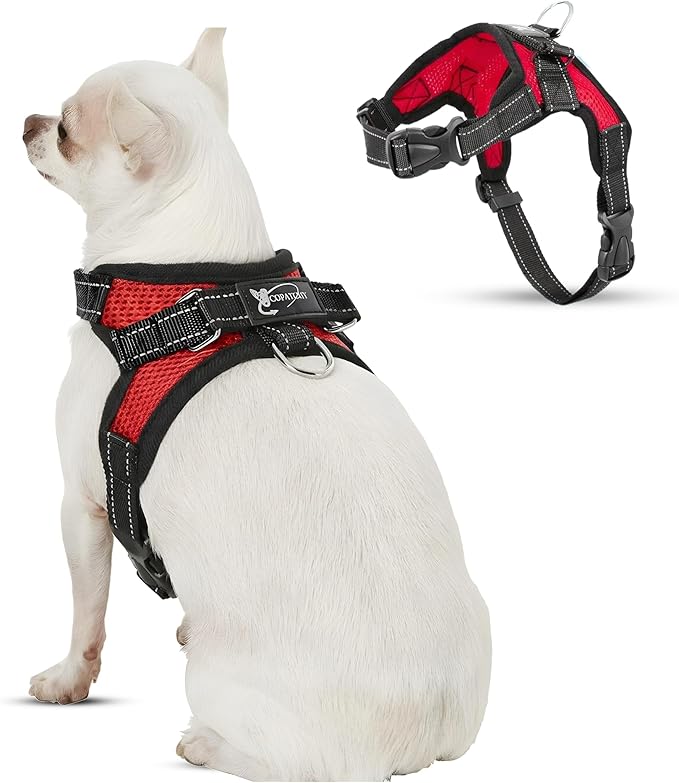 No Pull Reflective Adjustable Dog Harness With Handle- Comfortable Soft All Weather Mesh, Easy On Puppy Harness For Small Medium and Large Dogs (Red) X-Small