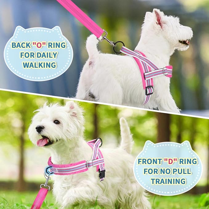 Lukovee No Pull Dog Harness and Leash Set, Soft Padded Small Dog Harness, Neck & Chest Adjustable Reflective Vest Puppy Harness with 4ft Lightweight Anti-Twist Dog Leash for Small Dogs (XXS, Fuschia)