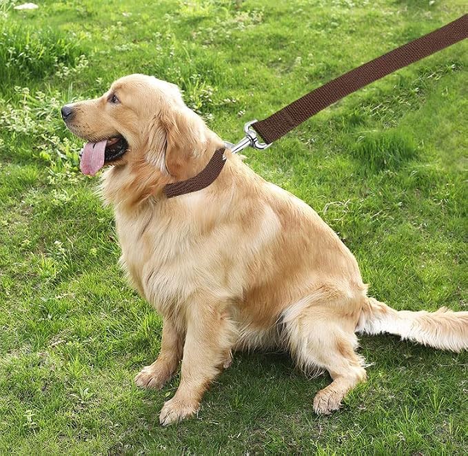 TAIAN 4FT/5FT/6FT Strong Dog Leash, Nylon Dog Leashes for Small Medium Large Dogs (1 in x 6 ft, Brown)