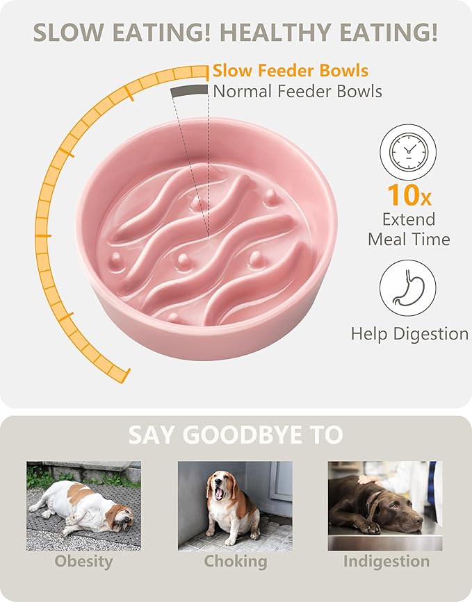 Ceramic Slow Feeder Dog Bowls Elevated, 0.6 Cup Dog Slow Feeder for Small Dogs, Puzzle Maze Bowl, 14oz, 6in, Salmon Pink