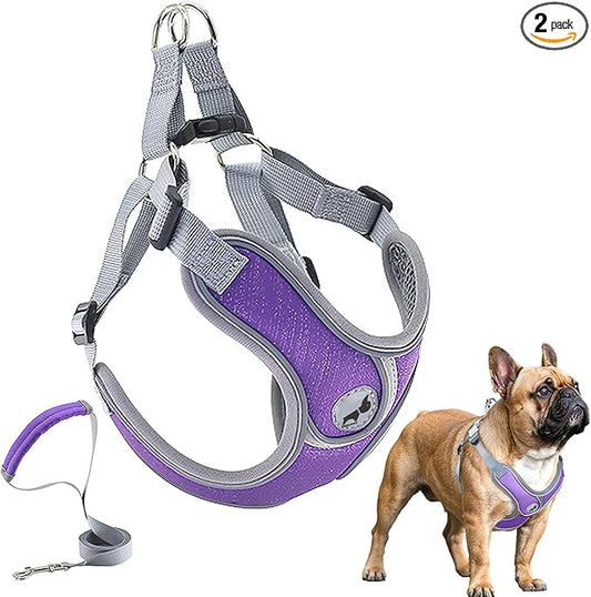 Dog Harness with Leash Set, Adjustable Step in Collars Harness with Breathable Padded Vest for Large Dog Training and Running (L, Purple)