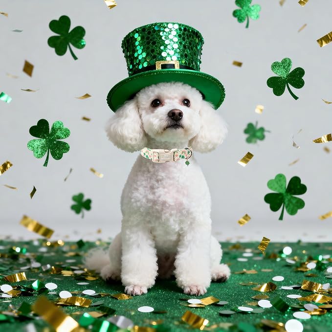 St. Patrick's Day Dog Collar for Small Dogs - Cute Shamrock & Rainbow Print Dog Collars, Irish Green Party Puppy Collar, Lightweight Adjustable St. Patricks Day Pet Collars S