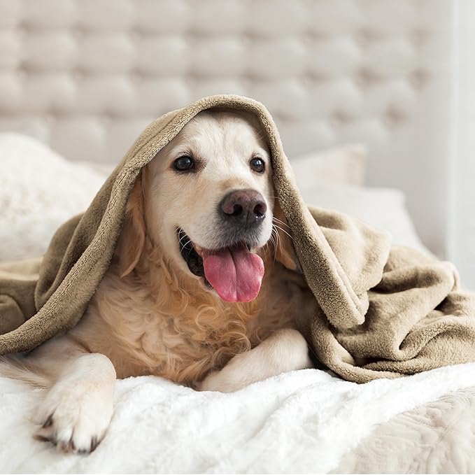 BEDELITE Fleece Blanket Camel Throw Blankets for Couch & Bed, Luxury Plush Cozy Fuzzy Blanket 50x60 inches, Super Soft Warm Lightweight Throw Blanket for Travel Camping