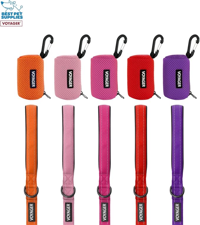 Best Pet Supplies 2-Pack Dog Poop Bag Holder Leash Attachment, Color, Reusable Mesh Dispenser Pouch for Travel, Walking, Park, and Outdoor Use, Soft and Durable with Clip-On - Mesh Royal Blue