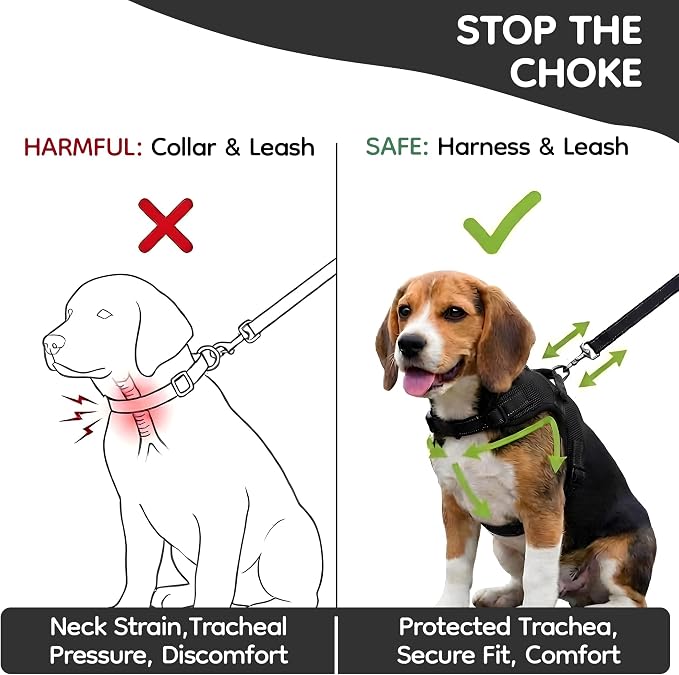 No Pull Reflective Adjustable Dog Harness with Handle- Comfortable Soft All Weather Mesh, Easy On Puppy Harness for Small Medium and Large Dogs (Black) Medium