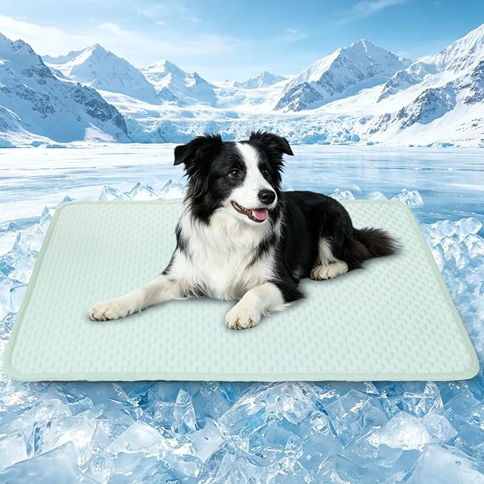 SOMOYA Cooling Mat for Dogs Upgrade Pet Cooling Pads Blanket Sleeping Kennel Mat,Washable Ice Silk Sleep Mat Pad Breathable for Large Dogs Cats Green, Medium (29.5x18.8 in)