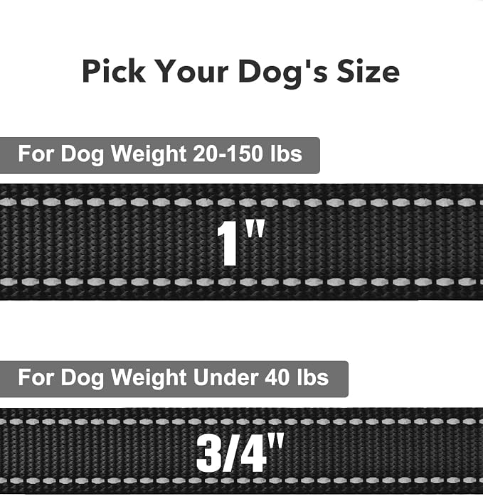 Taglory Dog Leash for Small Dogs, Double-Sided Reflective for Night Walking, Neoprene Padded Handle, 3/4 inch by 6 ft, Lightweight for Small Medium Breeds up to 30 lbs, Black