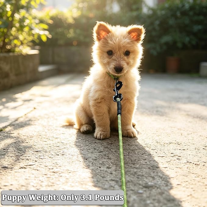 WYuZe Reflective X-Small Dog Leash 6/10/15 FT, Thin 1/5" Lightweight Rope Leash for Puppy Training, Walking Lead for Cats Chihuahua Maltese Small Pets Up to 15lb (6ft, Green)