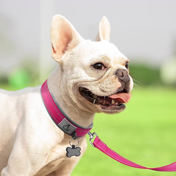 Joytale Dog Collar for Small Dogs, Neoprene Padded and Adjustable, Reflective Wide Heavy Duty Pet Collars with Durable Metal Belt Buckle for Walking, Hotpink, S
