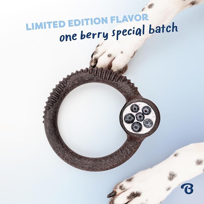 Benebone Ring Durable Dog Chew Toy for Aggressive Chewers – Limited Edition Blueberry Flavor, Medium