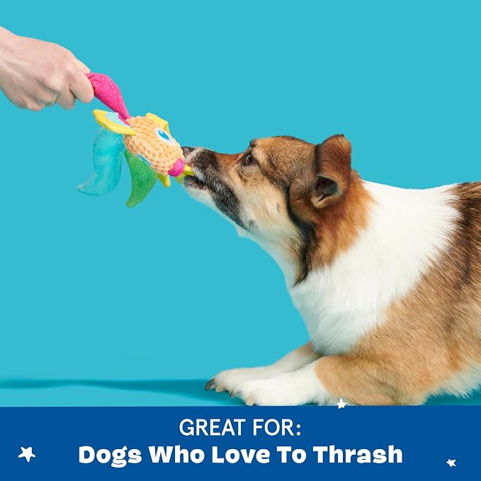 Barkbox Ahi Tina