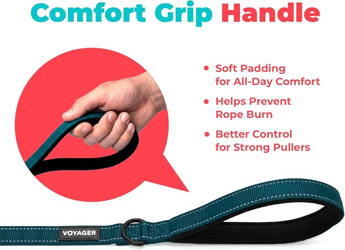 Best Pet Supplies Voyager Reflective Dog Leash or Collar with Neoprene Handle, for Small, Medium, and Large Breed Puppies, Cute and Heavy Duty for Walking, Running and Training - Blue (Leash), S