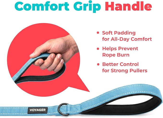 Best Pet Supplies Voyager Reflective Dog Leash or Collar with Neoprene Handle, for Small, Medium, and Large Breed Puppies, Cute and Heavy Duty for Walking, Running and Training - Baby Blue (Leash), S