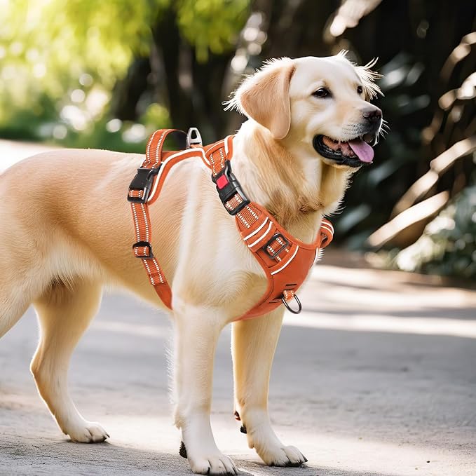 Timos Dog Harness Large Sized, No Pull Pet Harness with Neck Lockable Snap, No Choke Front Clip Reflective Vest, Adjustable Metal Rings 3 Buckles, Easy Control Handle for Large Dogs Pumpkin Orange L