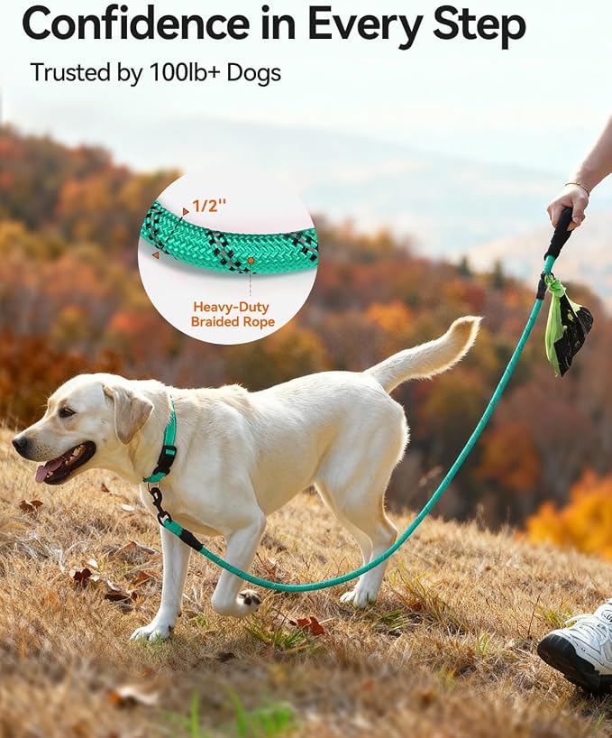 Joytale Dog Leash for Large Dogs, Heavy Duty Nylon Leashes with Comfortable Padded Handle and Highly Reflective Threads, Ideal for Walking and Training, Teal, 5'×1/2''