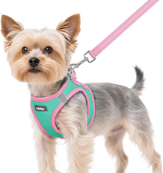 rabbitgoo Dog Harness Small Sized and Leash Set, Step-in Breathable Pet Harness, Soft Walking Reflective Puppy Vest for Small Dogs, Teal & Pink, XS