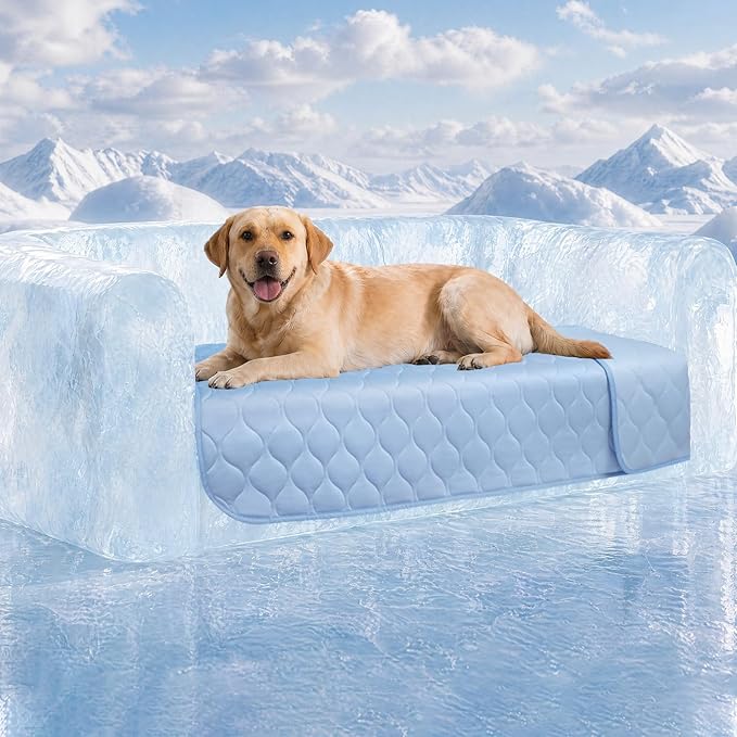 Luciphia Waterproof Cooling Mat for Dogs Couch Cover Q-MAX>0.5, Leakproof Pet Pad Non-Slip Throw Blanket for Cat Puppy Crate Bed Protector Outdoor (Light Blue, 30x70 inches)