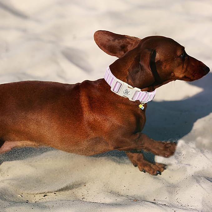 Elegant little tail Dog Collar, Cute Pink Strip Pattern Pet Collars Soft Girl or Boy Adjustable Cotton Puppy Collar with Quick Release Buckle for X-Small Puppy