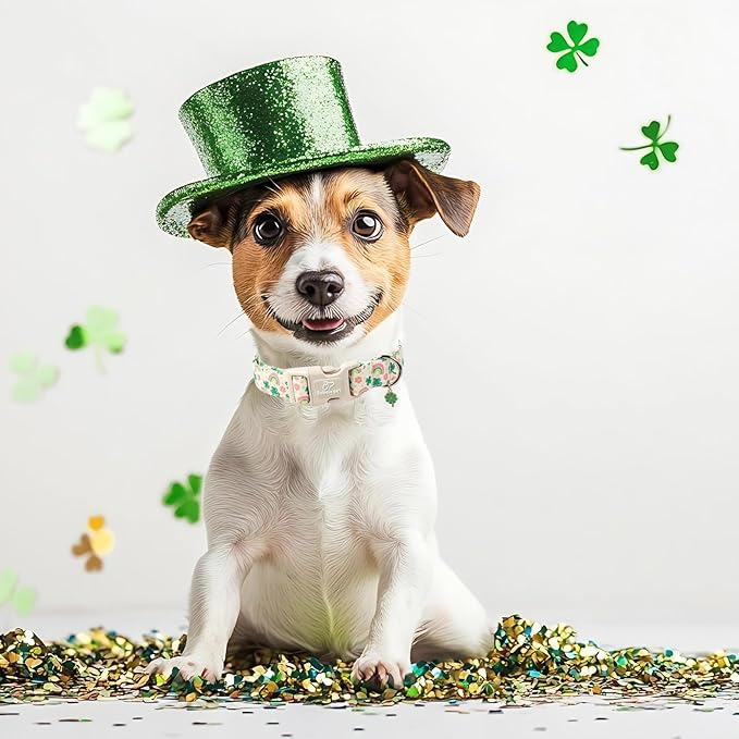 St. Patrick's Day Dog Collar for Medium Dogs - Cute Shamrock & Rainbow Print Dog Collars, Irish Green Party Puppy Collar, Lightweight Adjustable St. Patricks Day Pet Collars M